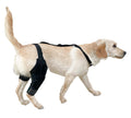 D. Dog Hind Knee Brace Assist