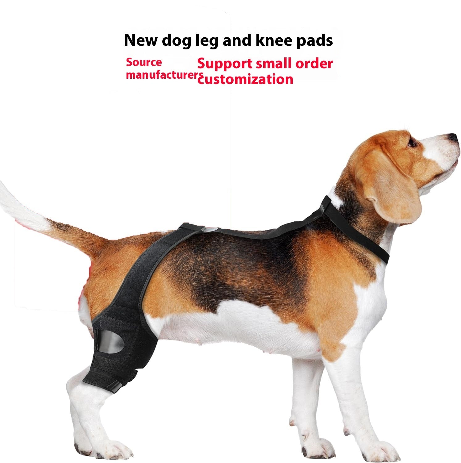 Dog Hind Knee Brace Assist