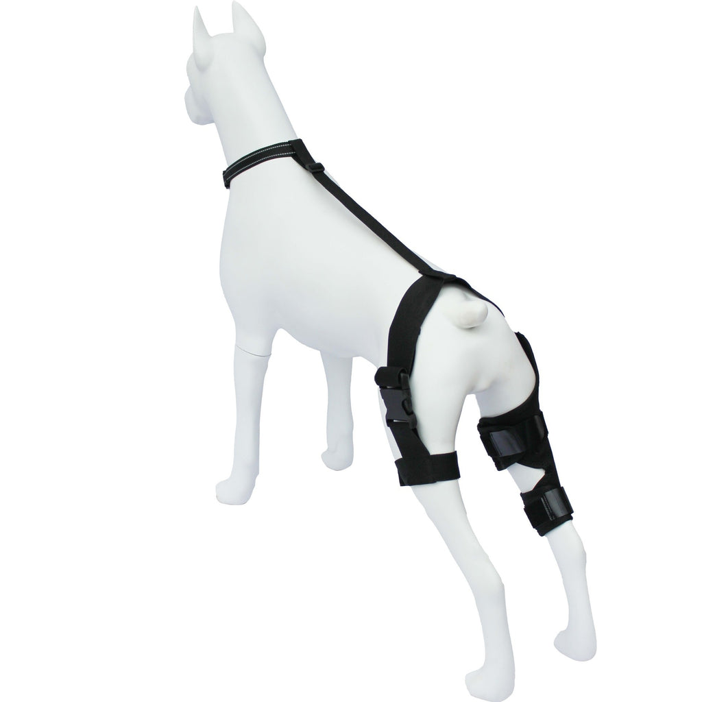 D. Dog Hind Knee Brace Assist