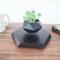 B. Floating Flower Pot